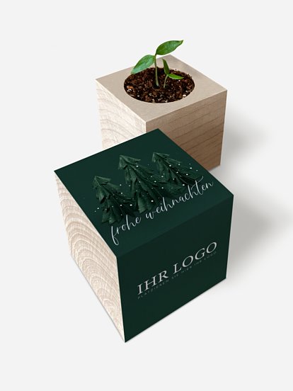 Chili-Pflanze im Holzwürfel "Felt Forest"