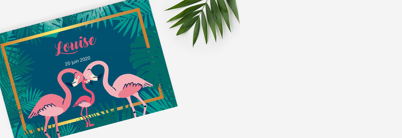 Faire-part frère soeur pour le petit dernier de la famille