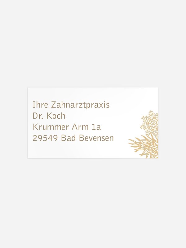 Weihnachtszweige