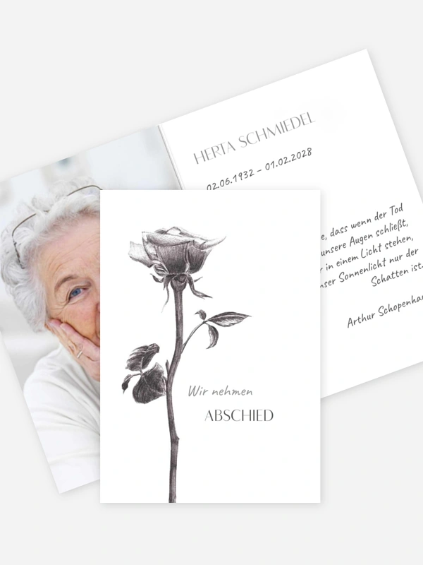 Zarte Rose