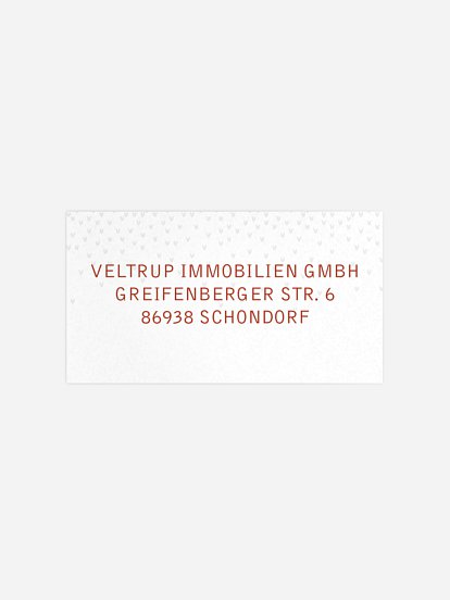 Empfängeraufkleber geschäftl. Weihnachten Happy Birdy