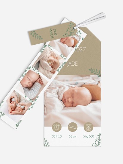 Faire Part De Naissance Safari