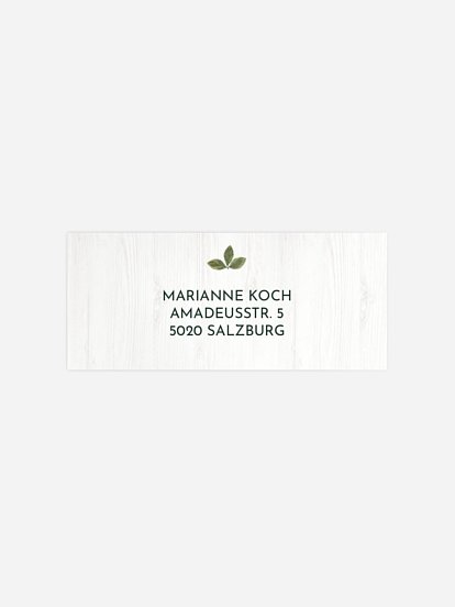 Forest Love Forest Love