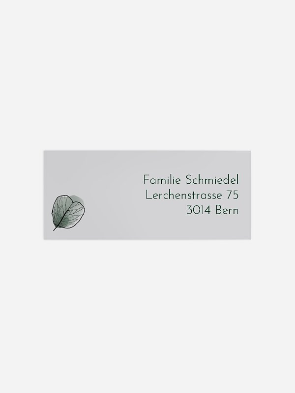 Sonne des Lebens