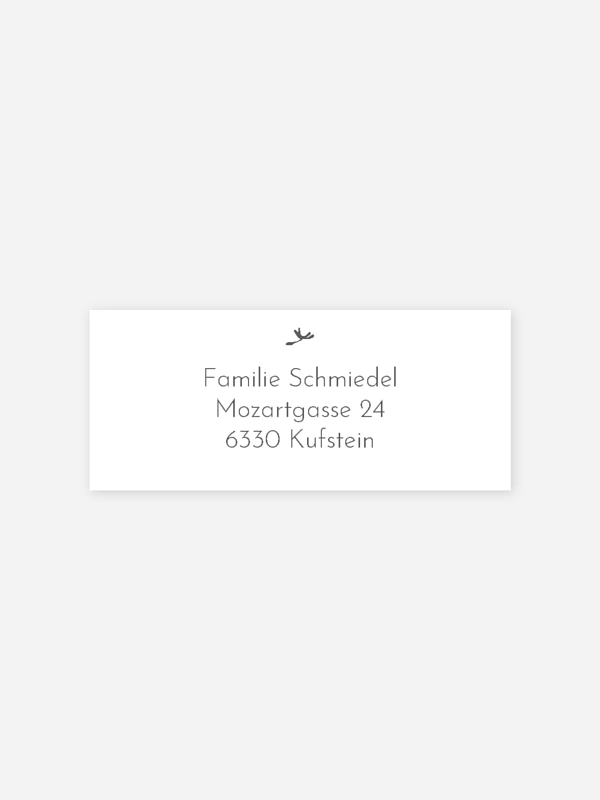 Löwenzahn