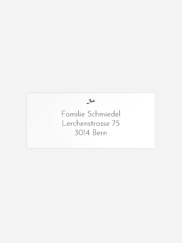 Löwenzahn