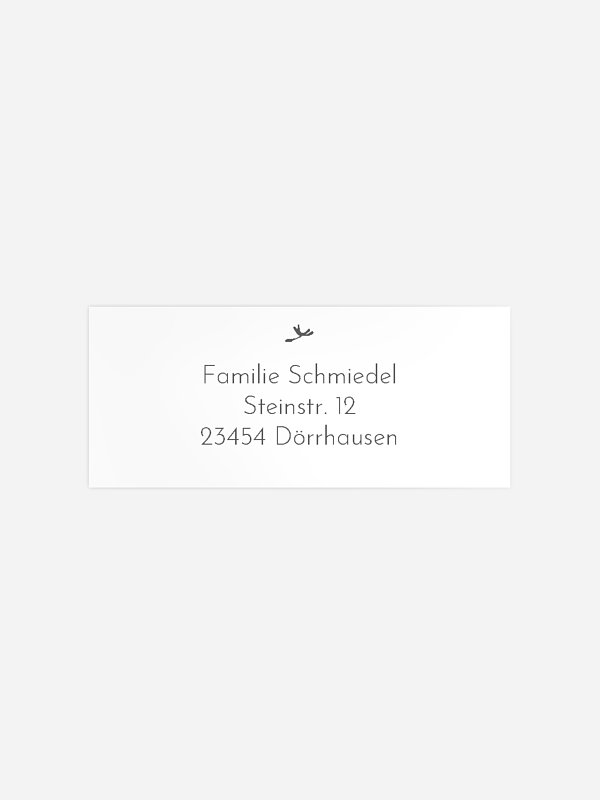 Löwenzahn