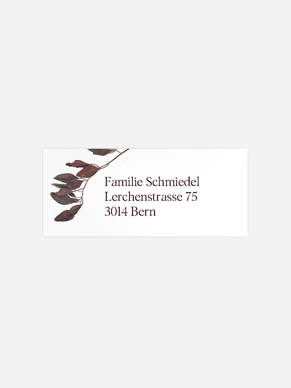 Zweige der Stille