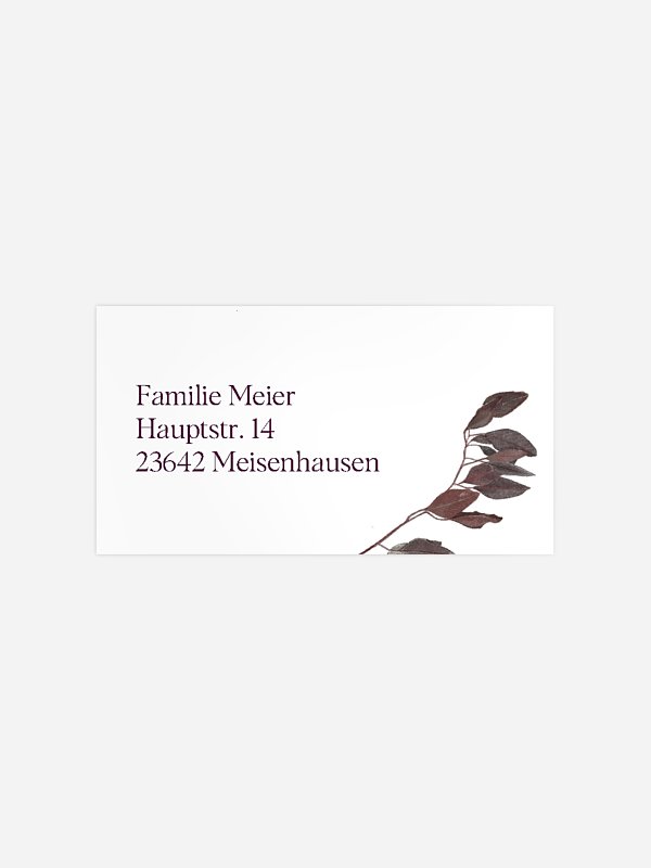 Zweige der Stille