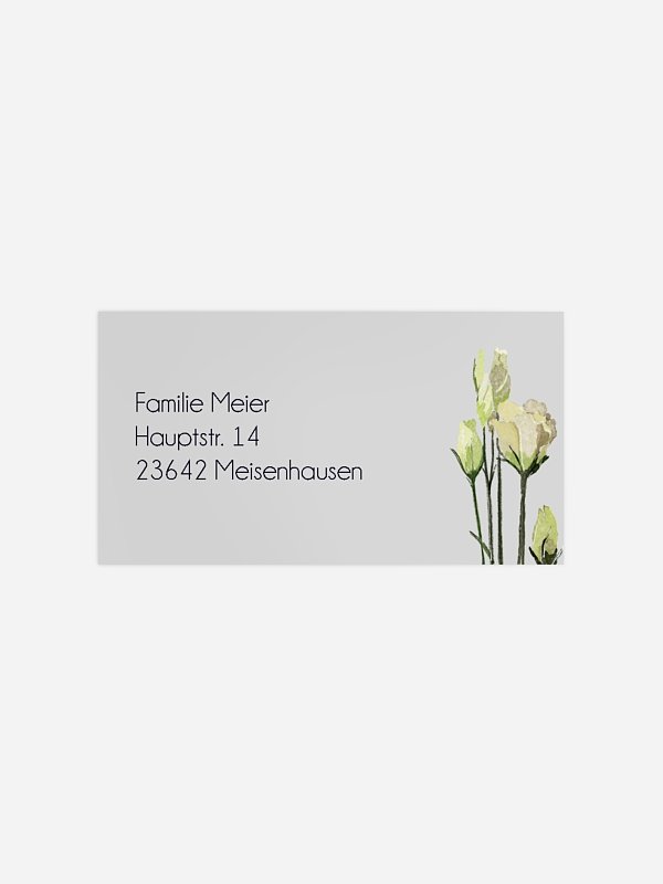 Weiße Rosen