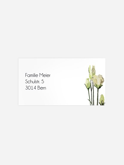 Empfängeraufkleber Trauer Weiße Rosen
