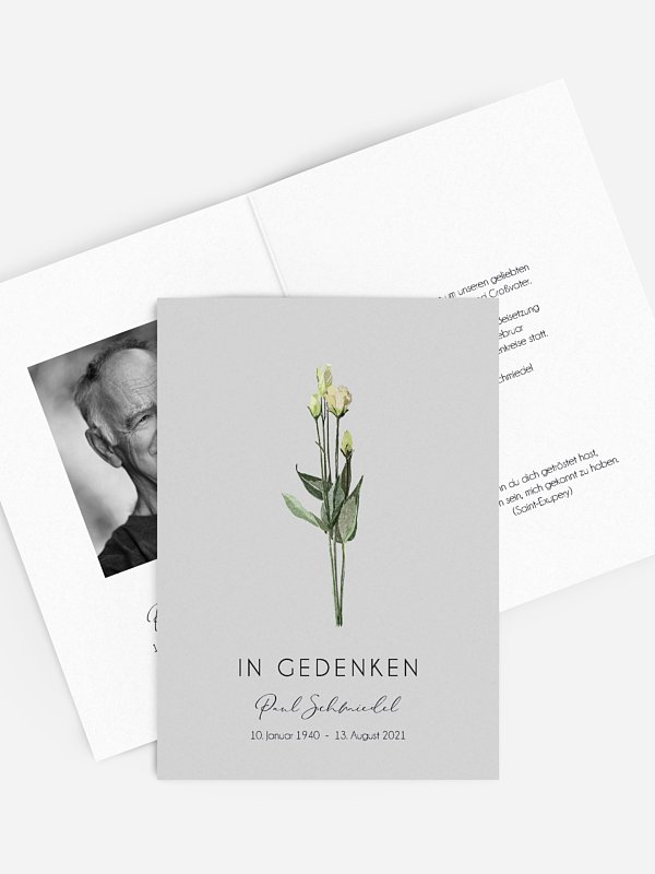 Weiße Rosen