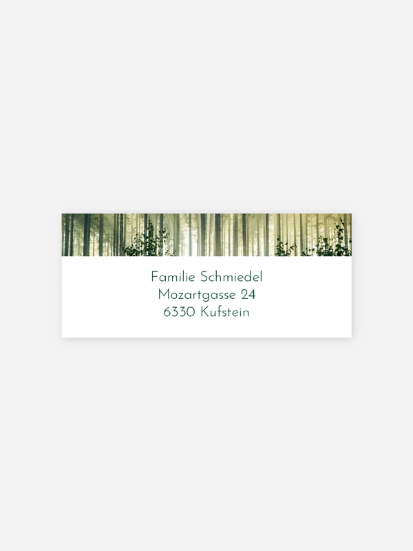 Fichtenwald