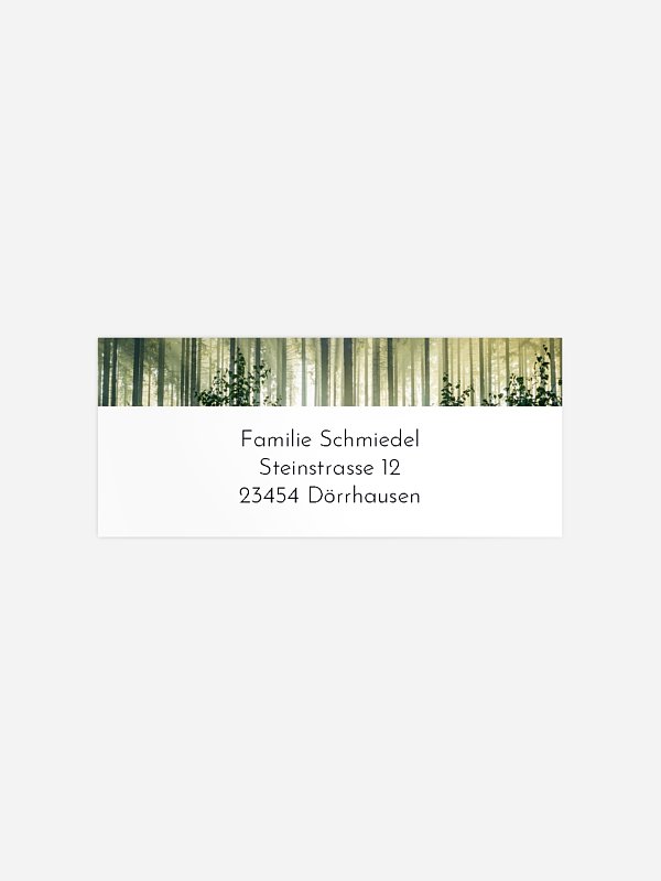 Fichtenwald