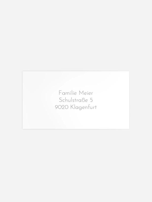 Fichtenwald