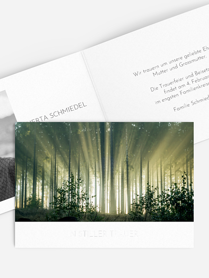 Trauerkarte Fichtenwald