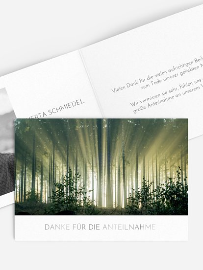 Fichtenwald Fichtenwald