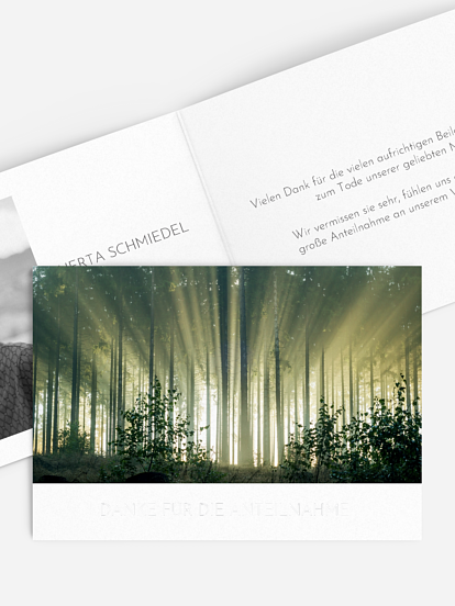 Trauerdanksagung Fichtenwald