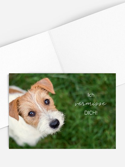 Grußkarte Vierbeiner