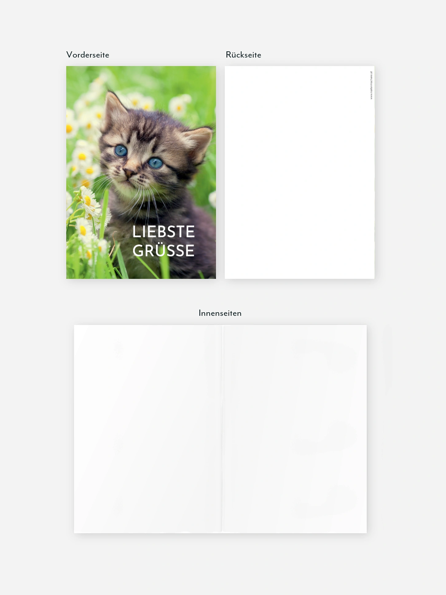 Grußkarte Katze