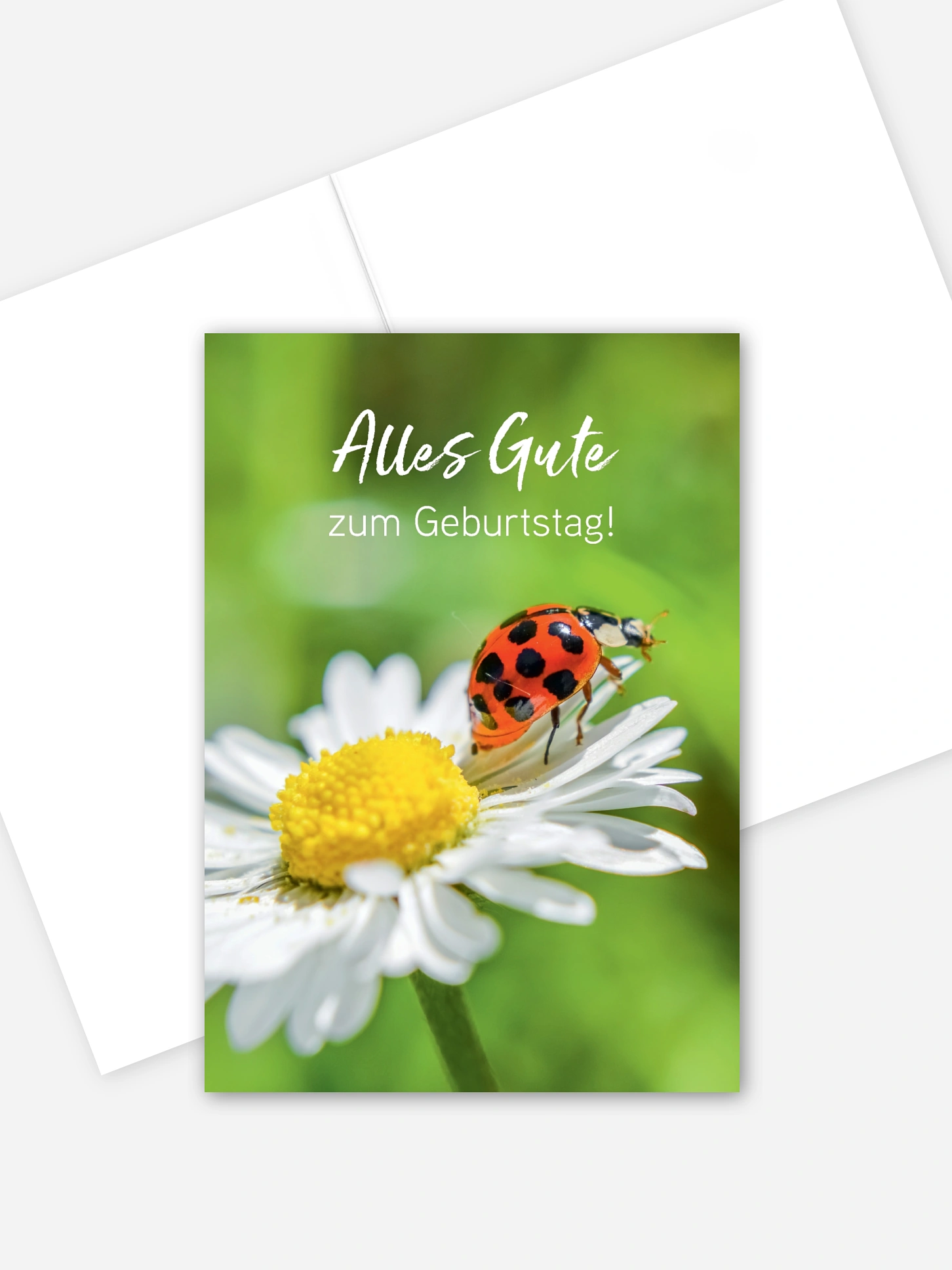 Grußkarte Wünsch Dir Was