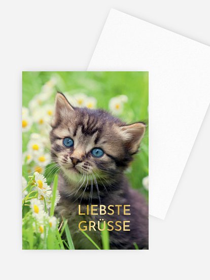 Grußkarte Süße Grüße
