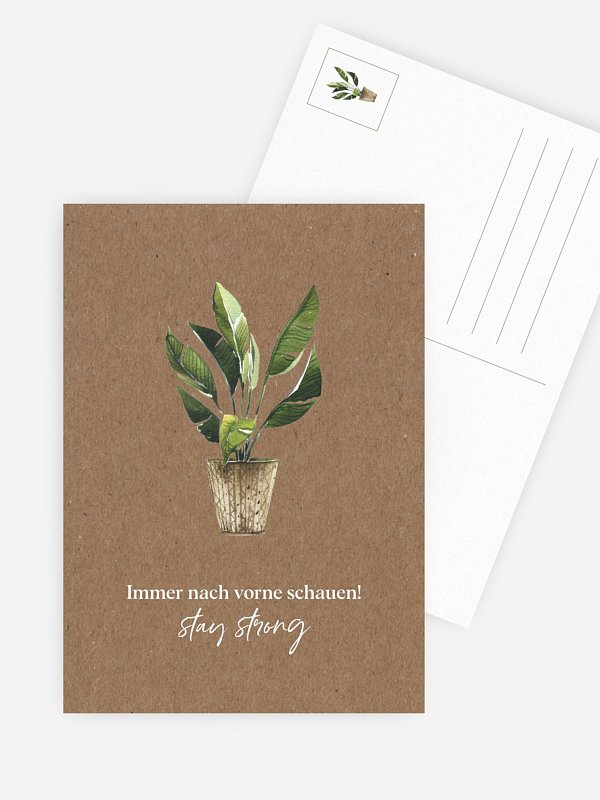Happy Plant