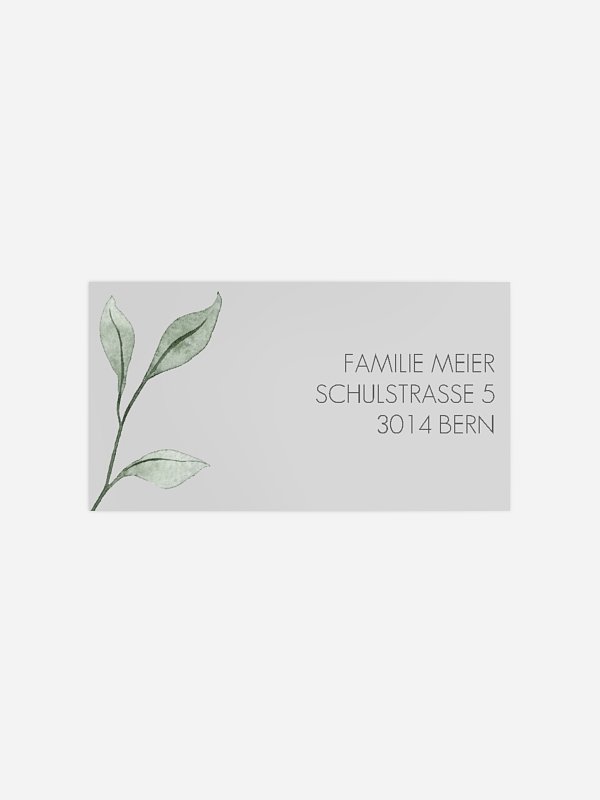 Eukalyptusblätter