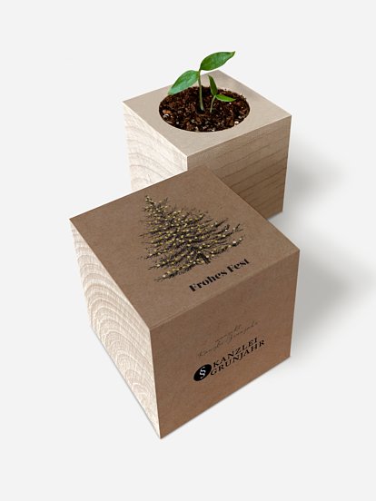 Pinetree Pinetree