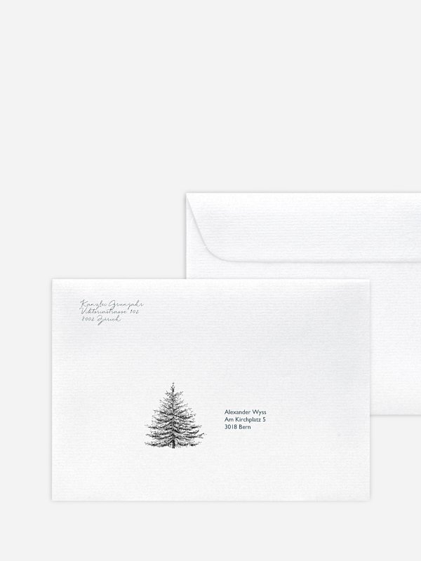 Pinetree Mitarbeiter