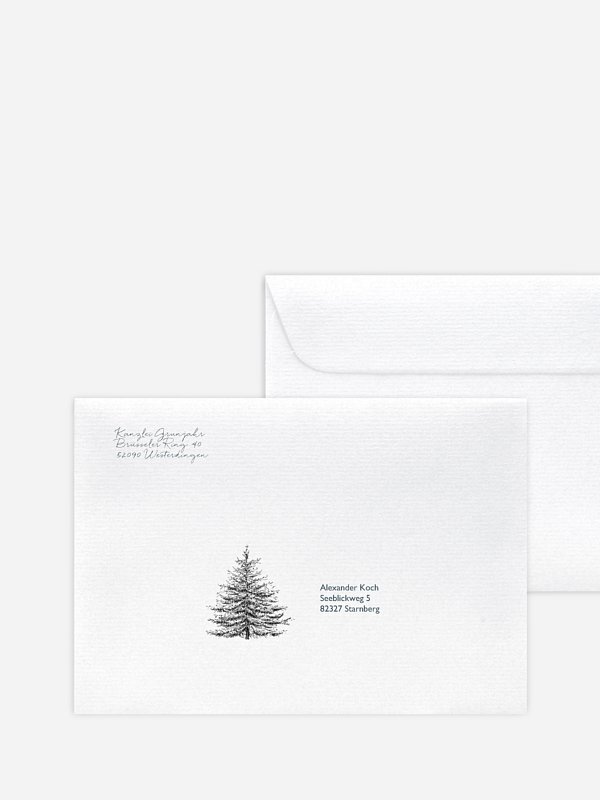 Pinetree Mitarbeiter