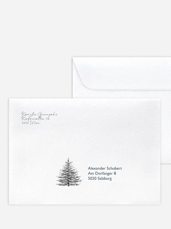 Pinetree Mitarbeiter