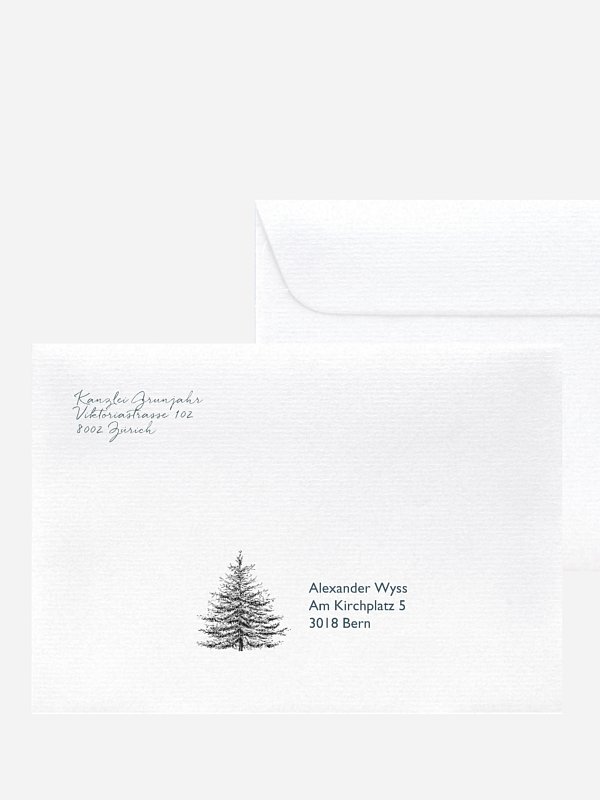 Pinetree Mitarbeiter