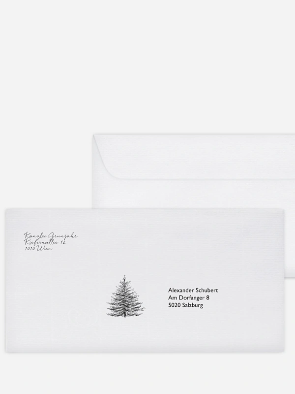 Pinetree Mitarbeiter