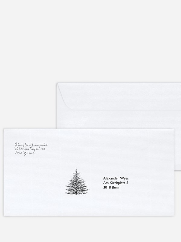 Pinetree Mitarbeiter
