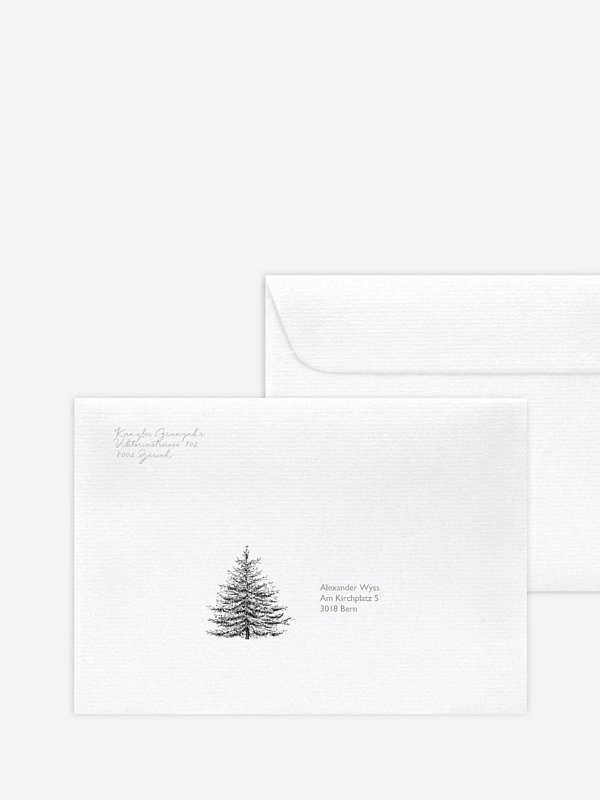 Pinetree Mitarbeiter