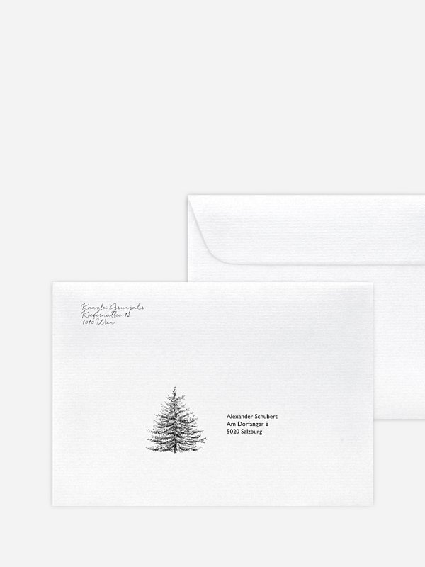 Pinetree Mitarbeiter