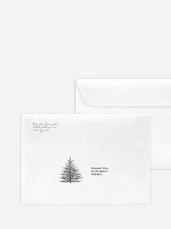 Pinetree Mitarbeiter