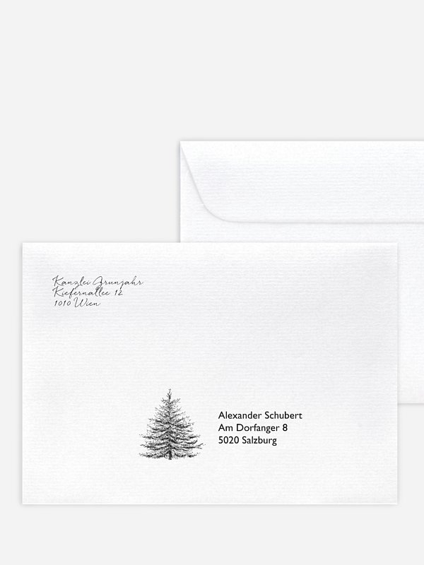 Pinetree Mitarbeiter