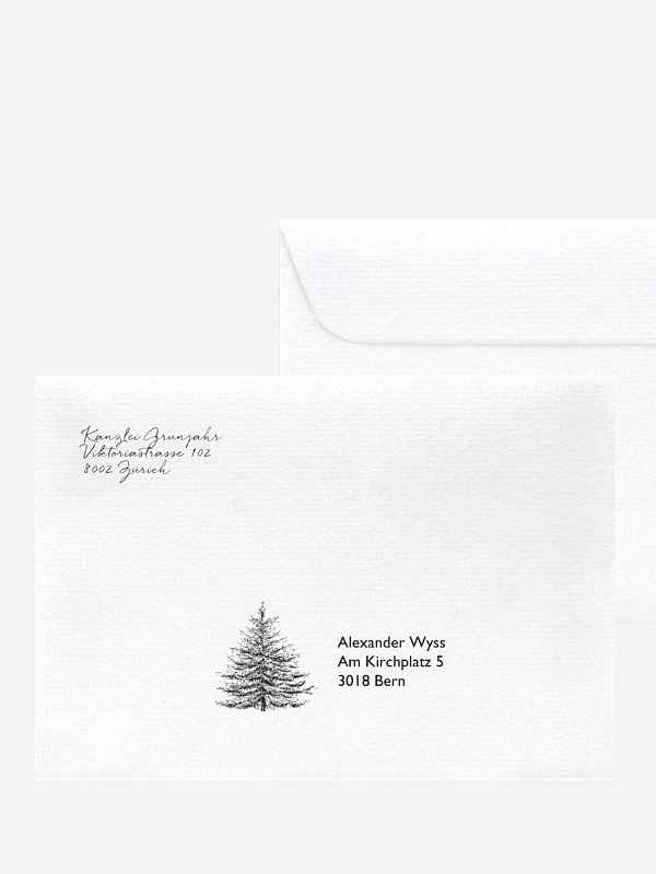 Pinetree Mitarbeiter