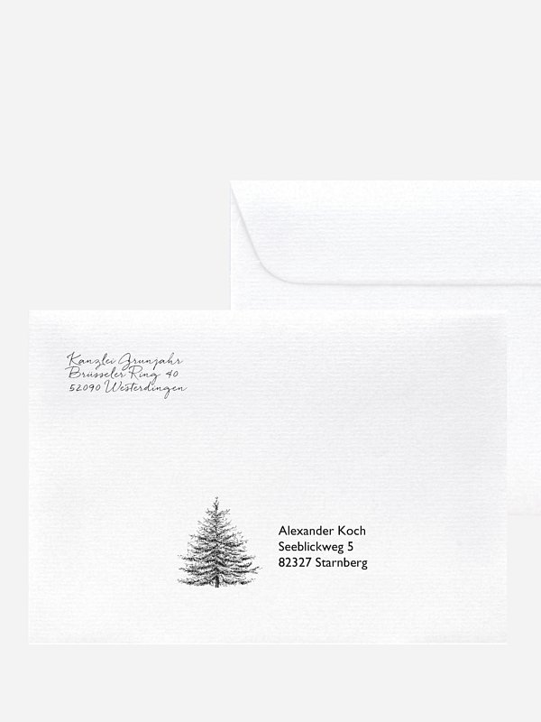 Pinetree Mitarbeiter