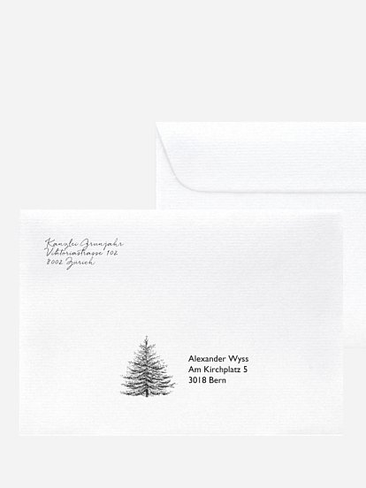 Pinetree Mitarbeiter