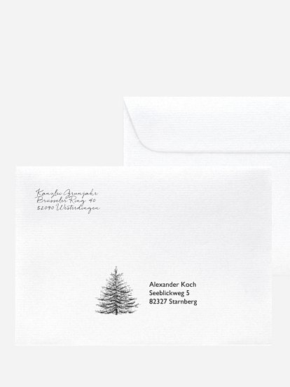 Pinetree Mitarbeiter Pinetree Mitarbeiter