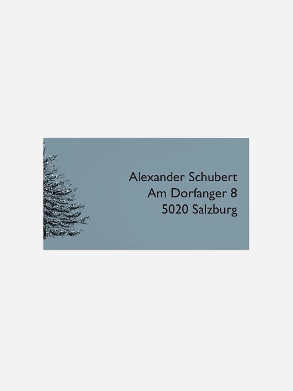 Pinetree Mitarbeiter