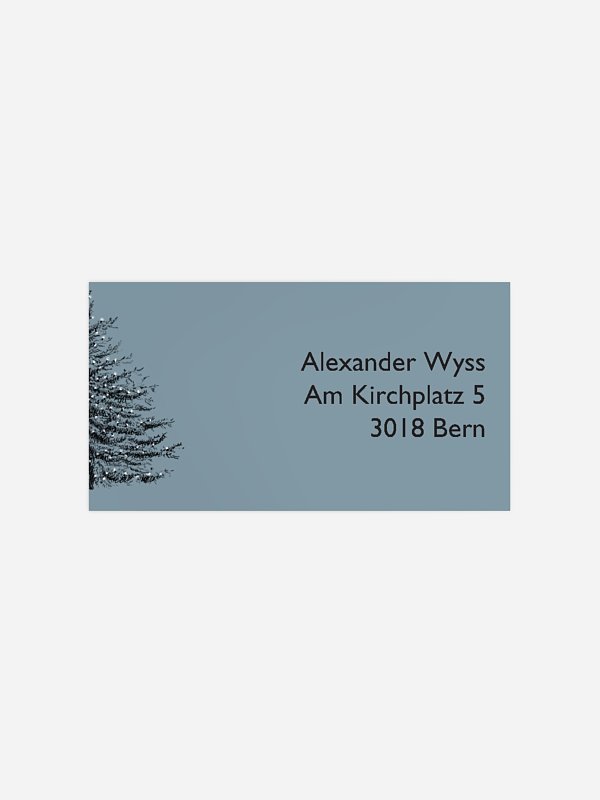 Pinetree Mitarbeiter