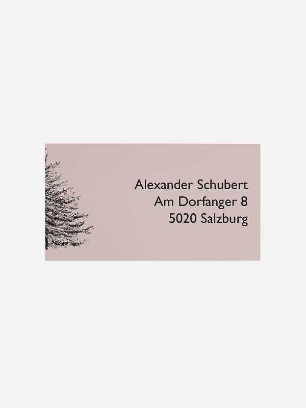 Pinetree Mitarbeiter