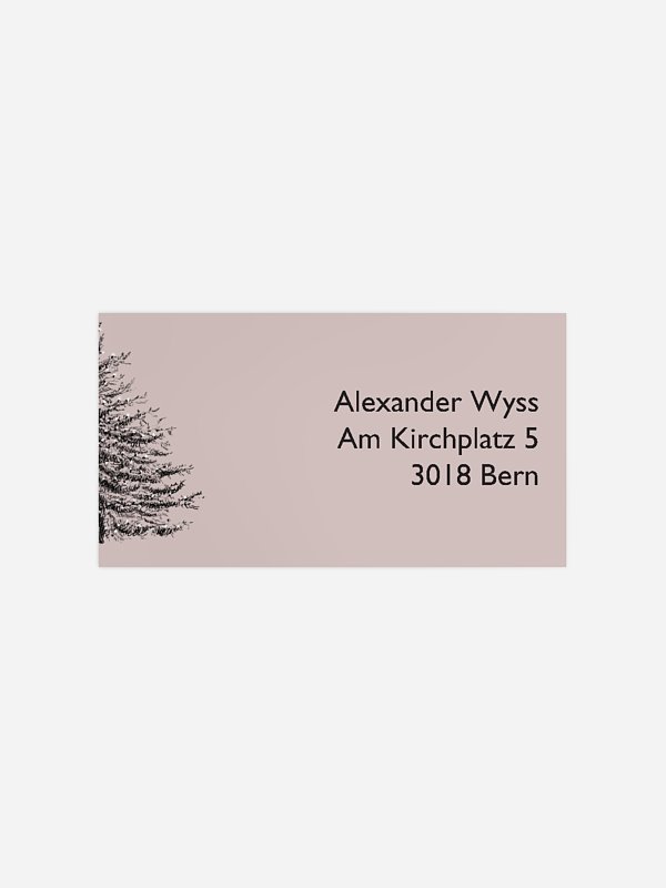 Pinetree Mitarbeiter