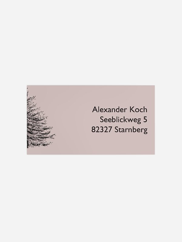 Pinetree Mitarbeiter