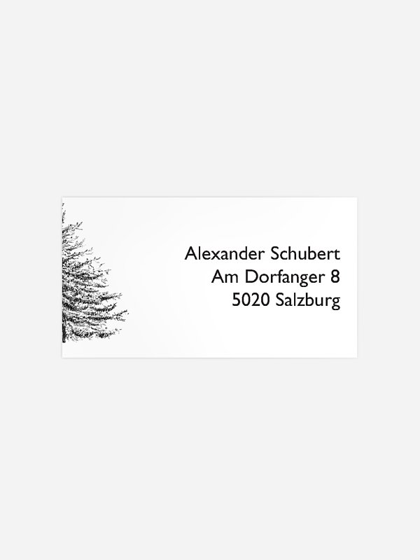 Pinetree Mitarbeiter