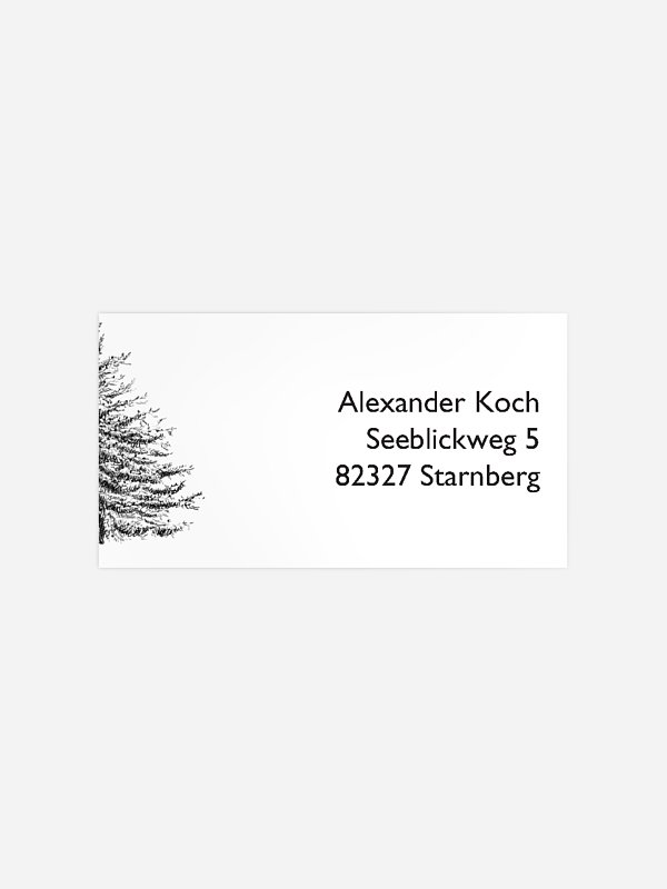 Pinetree Mitarbeiter